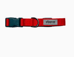 Ziippup Dog Collar (9755758723347)