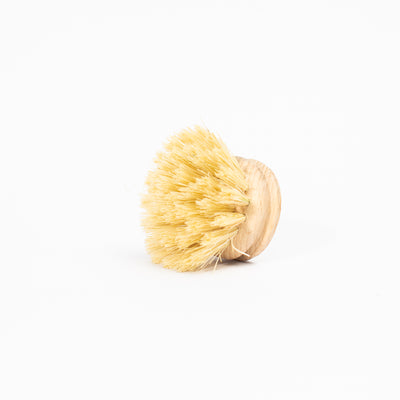 Replacement brush head (1957413093427)